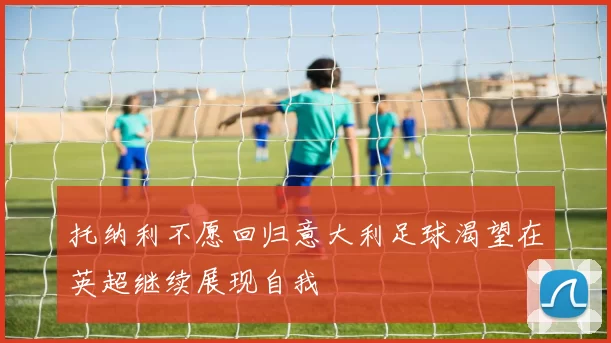 托纳利不愿回归意大利足球渴望在英超继续展现自我